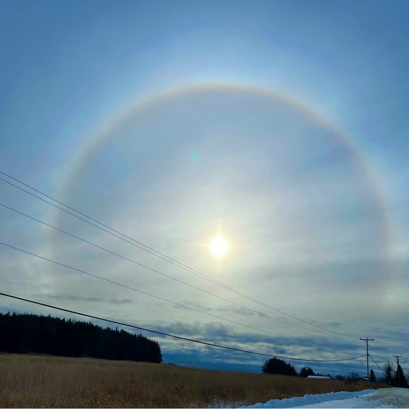 Meet your Posher, Louise - Picture 1 of 4